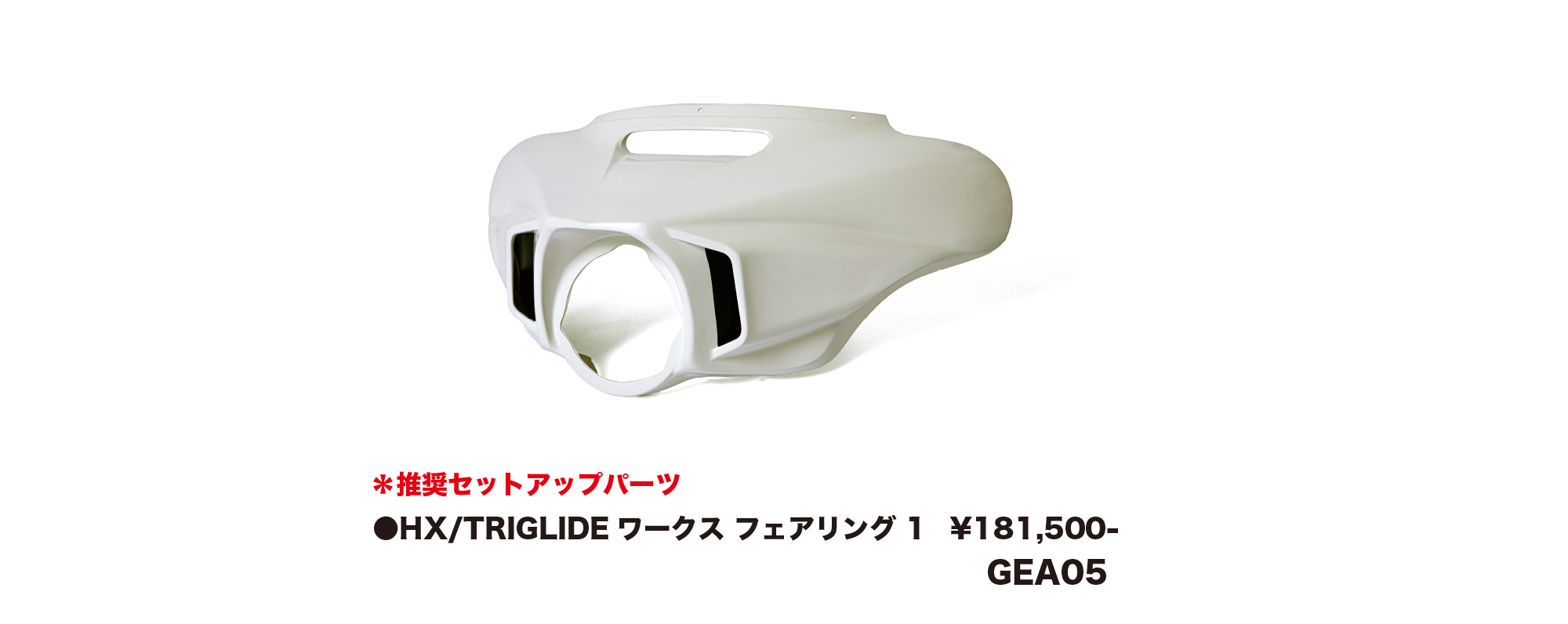 ※推奨セットアップパーツ
HX/TRIGRIDE ワークス フェアリング ￥181,500　GEA05